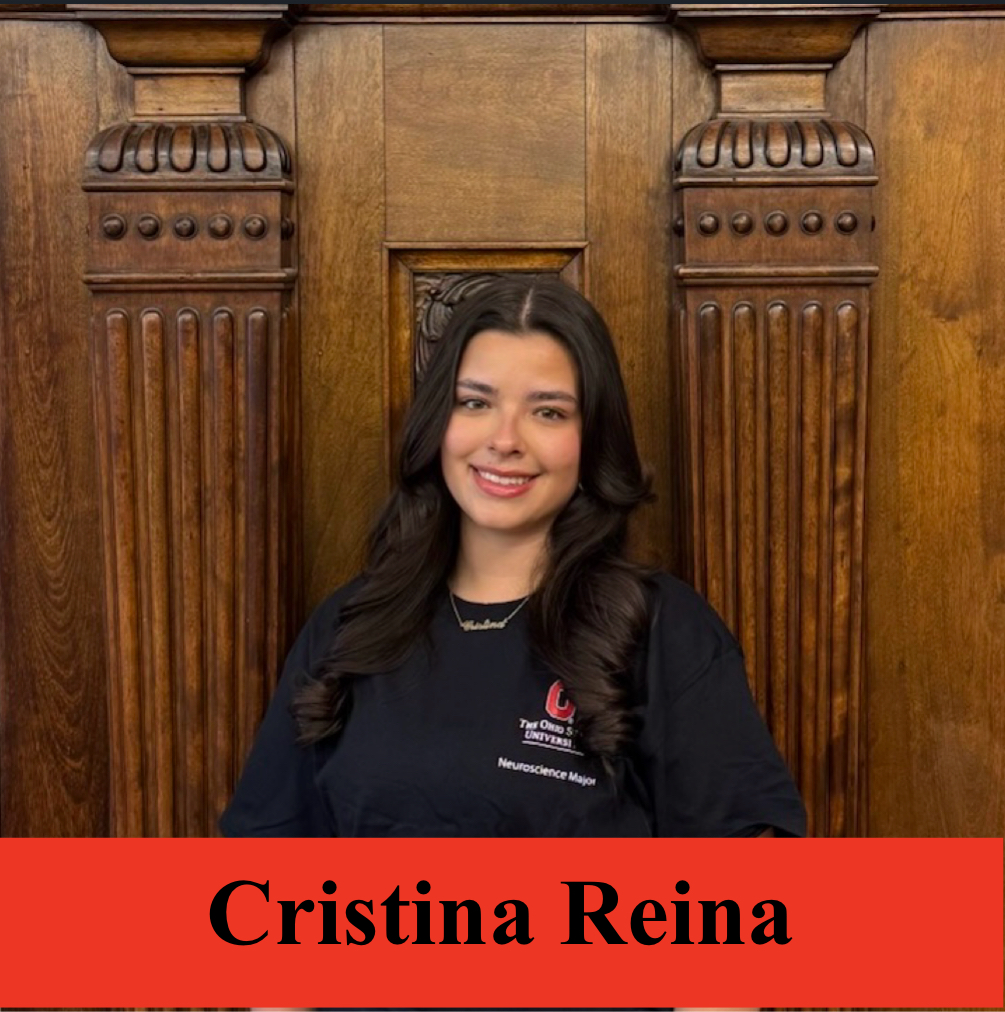 Cristina Reina