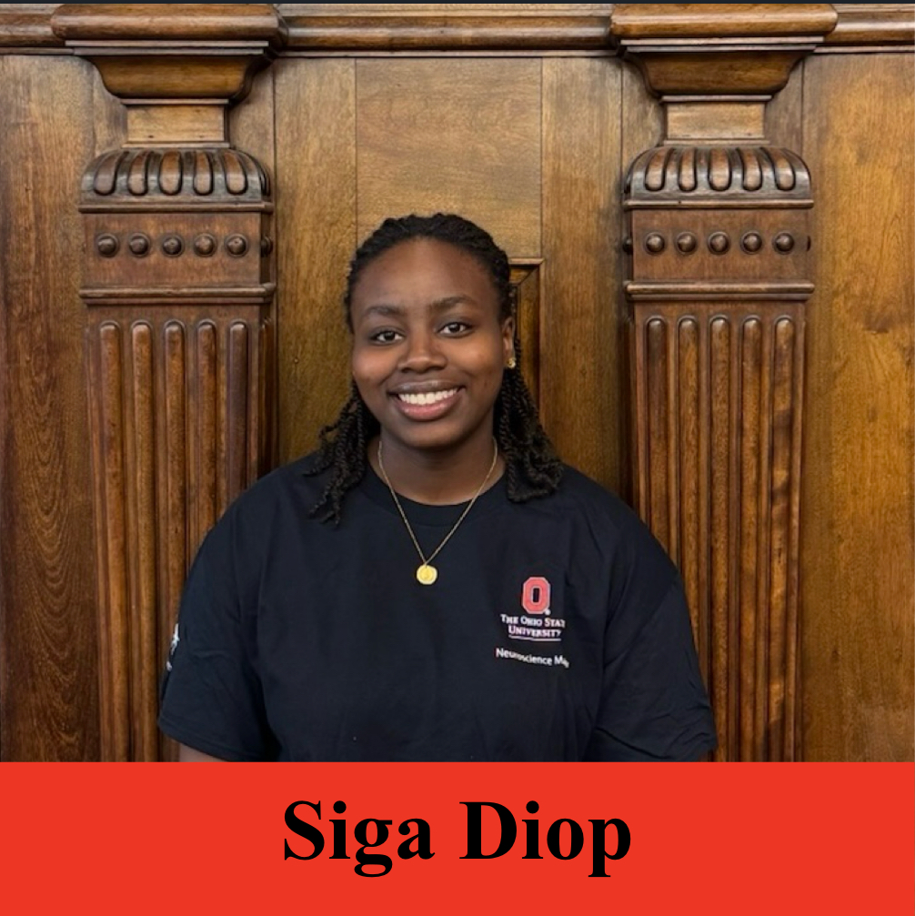 Siga Diop