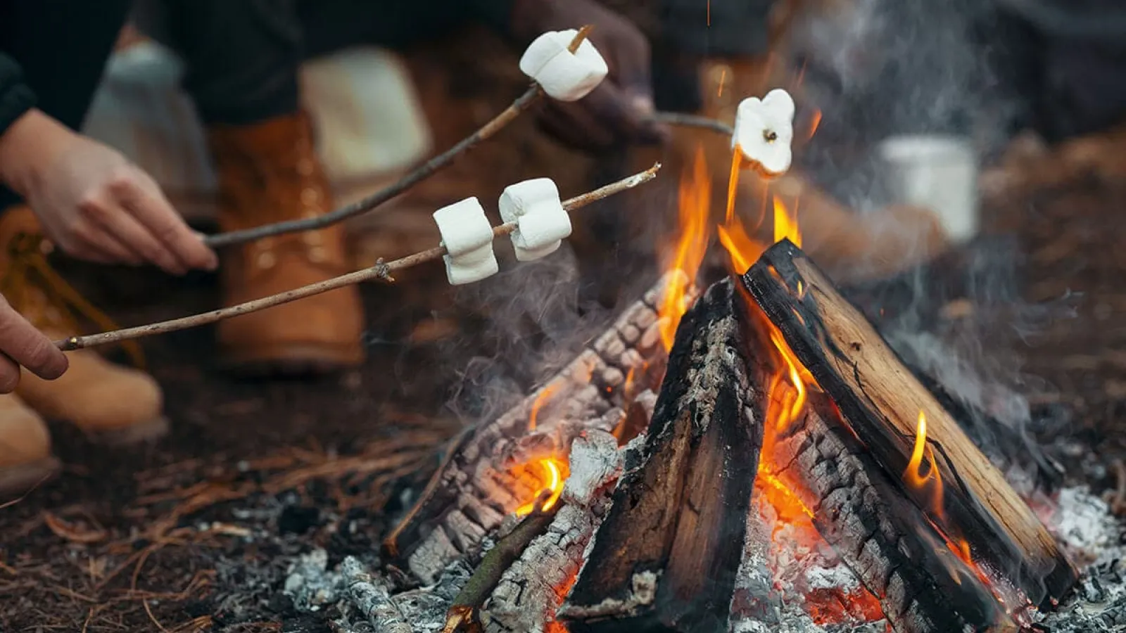 Roasting s'mores over a campfire.