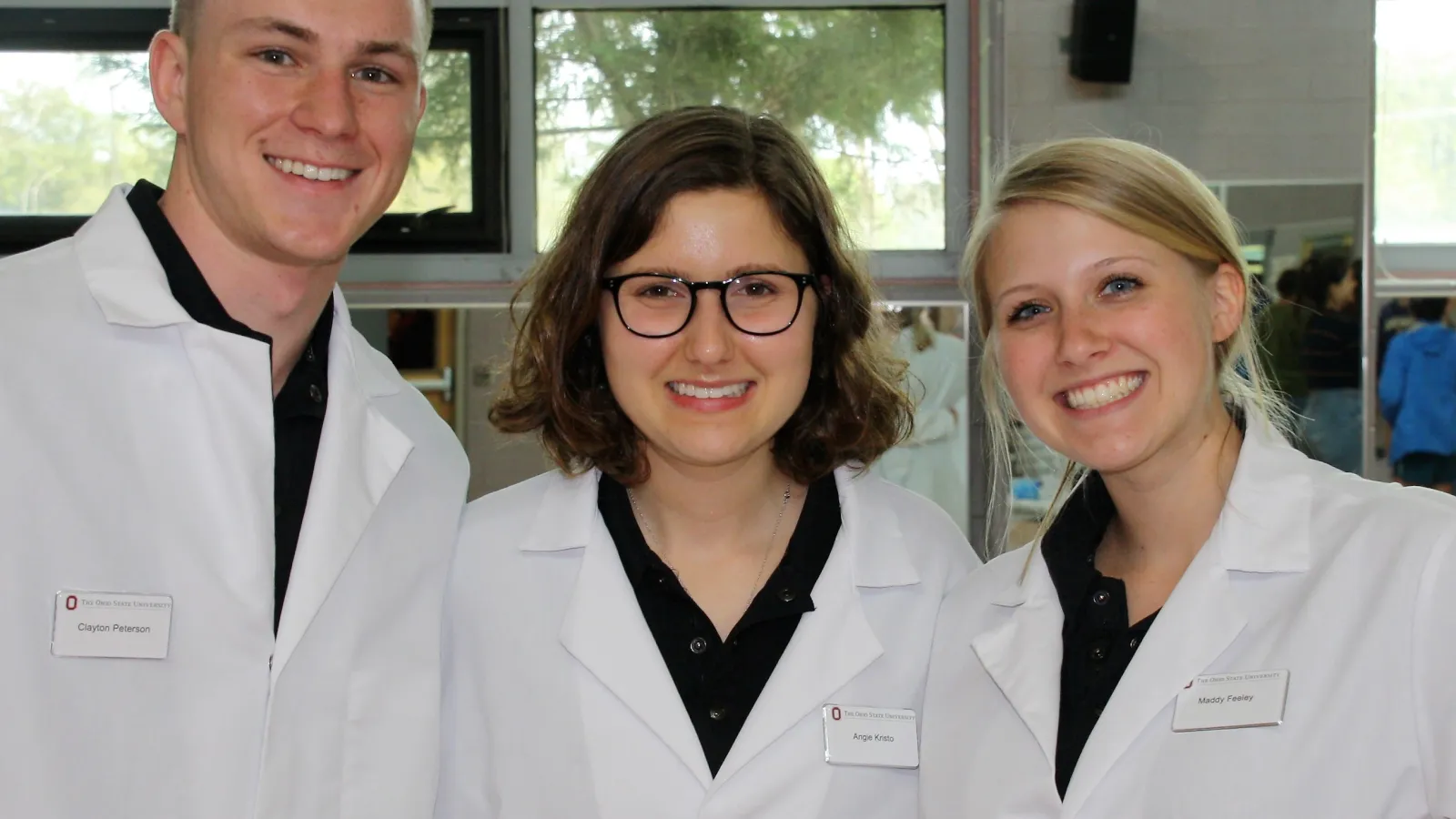Brain Anatomy Team