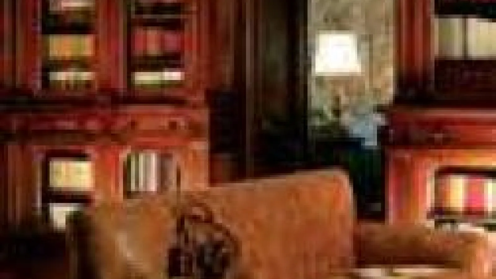 Library with couches and bookshelves