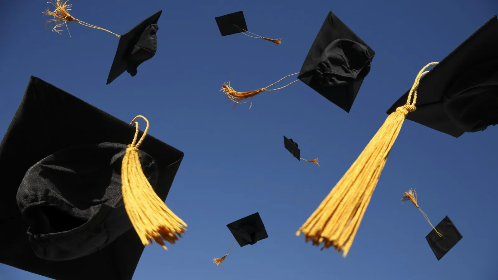 Graduate School Info Night