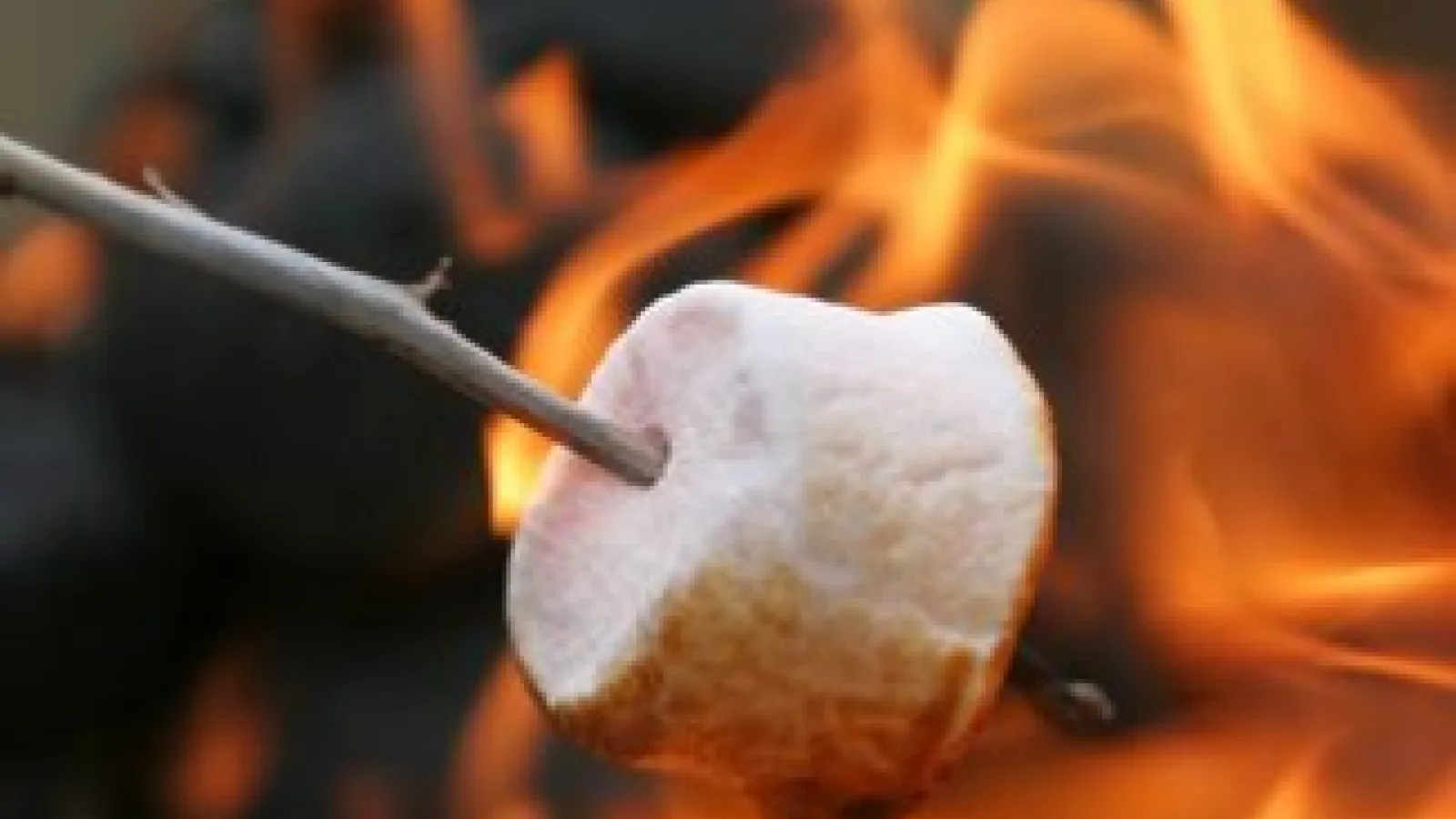 Smores