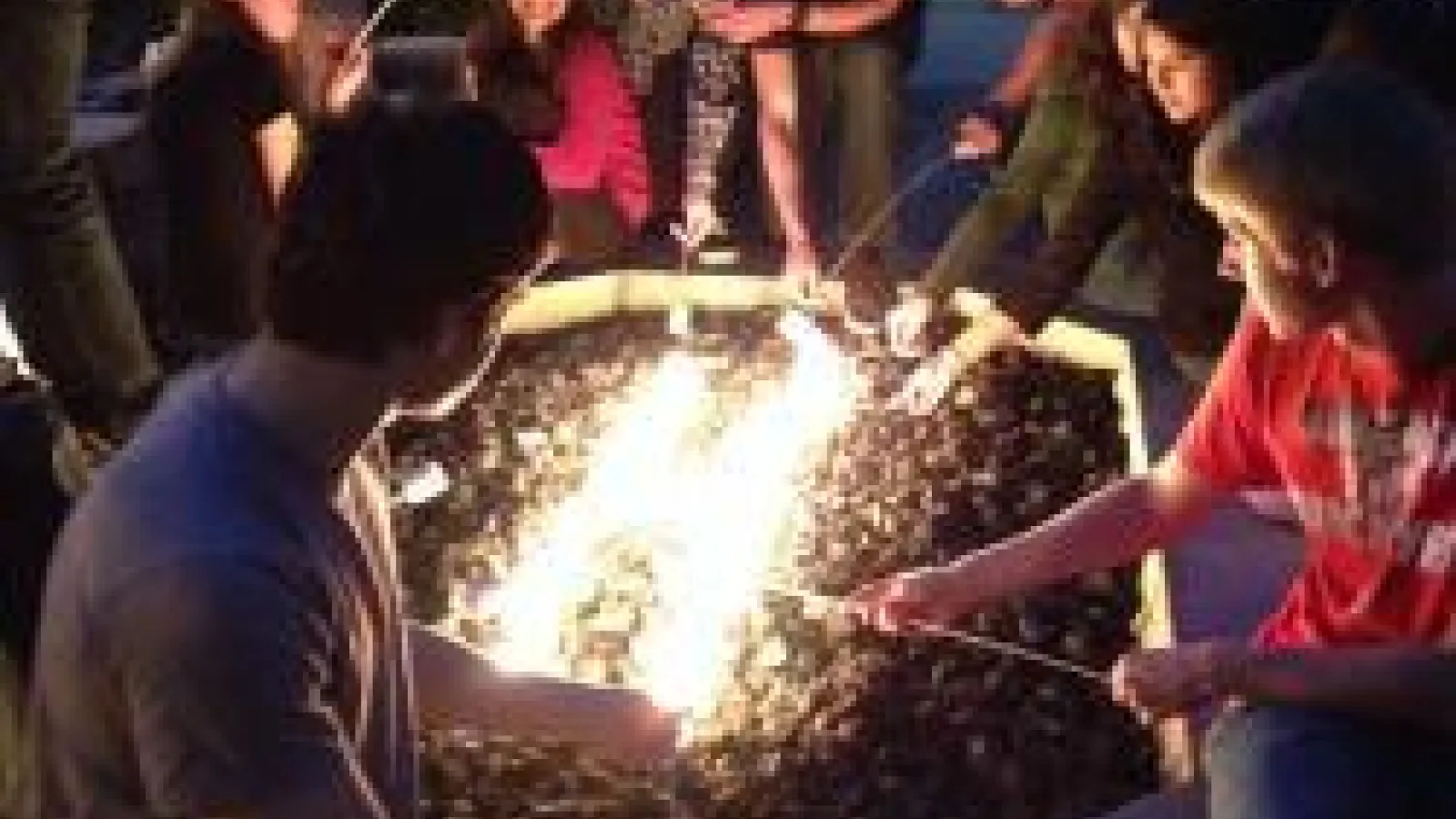 Bonfire