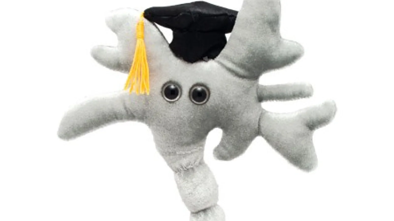 neuron graduates