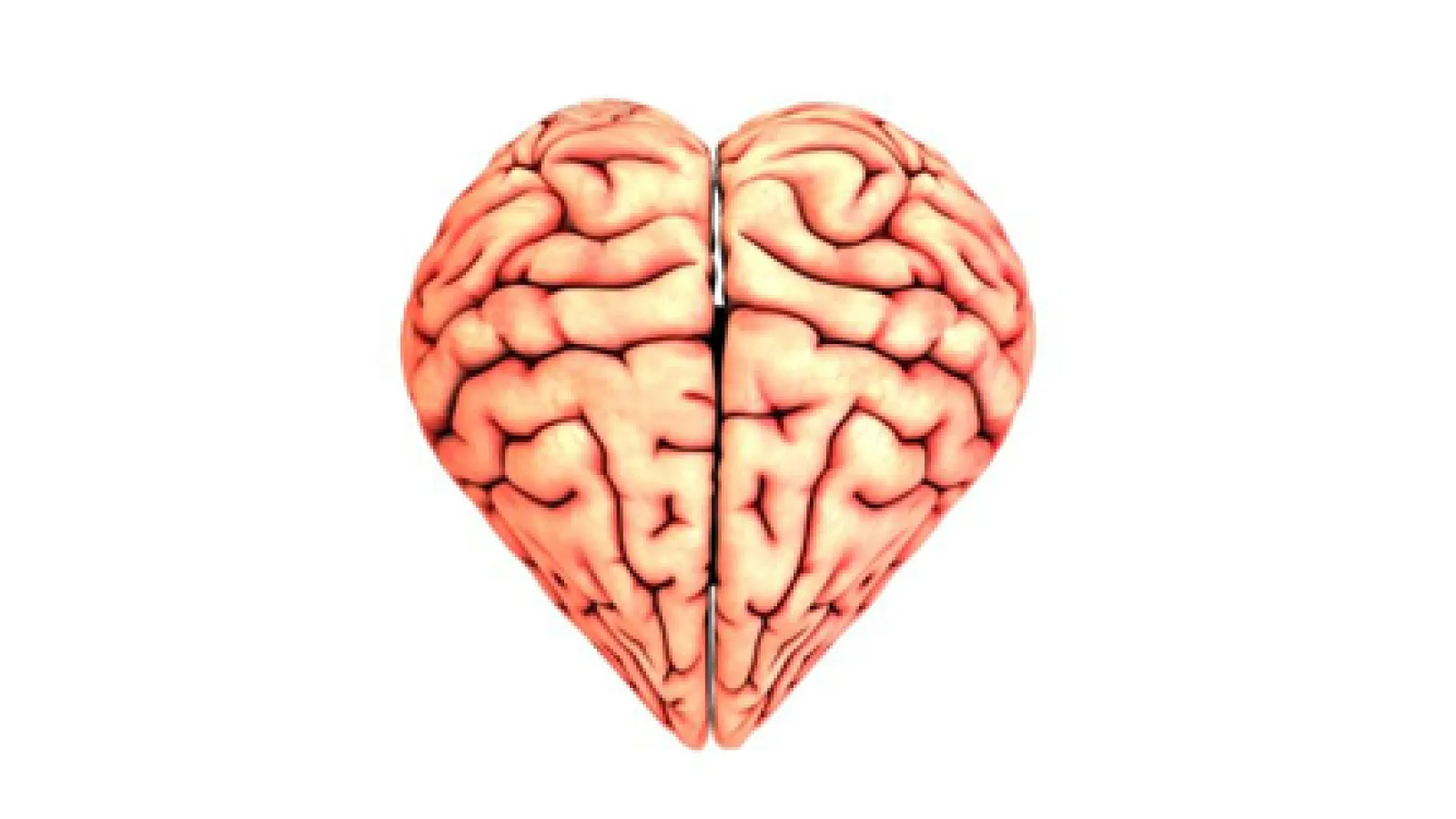Heart brain