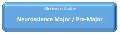 Declare Major or Pre-Major