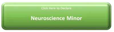 Declare Minor