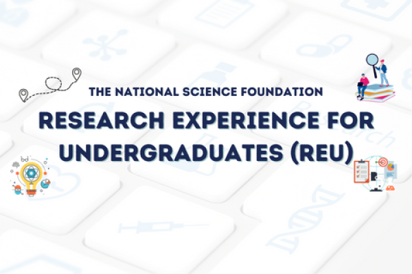 The National Science Foundation Research Experience for Undergraduates (REU)