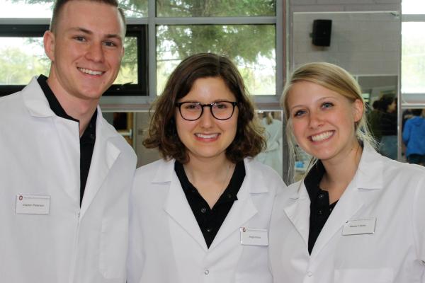 Brain Anatomy Team Brain Anatomy Team