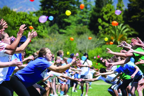 Field Day Field Day