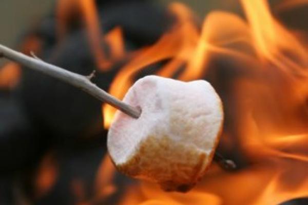 Smores Smores