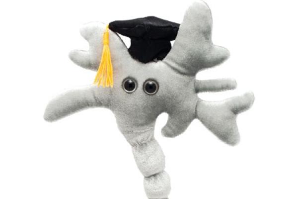 neuron graduates