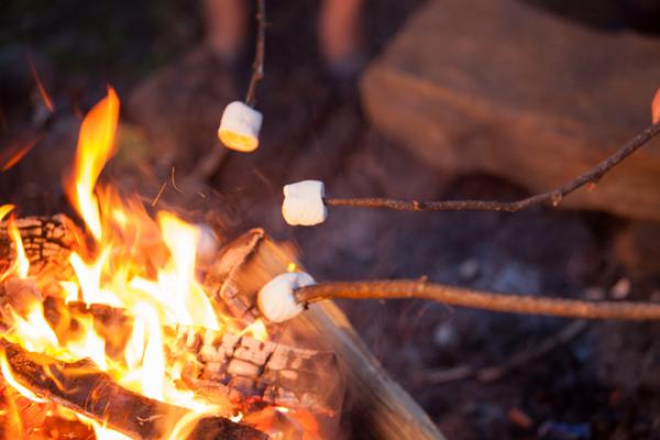 Campfire with s'mores