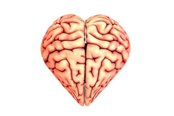 Heart brain Heart brain