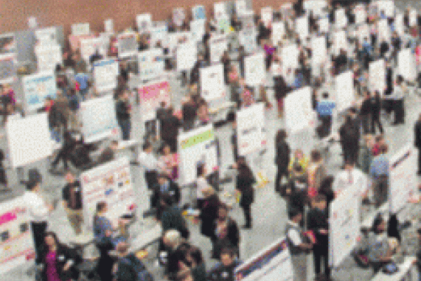 Image of posters from Denman Poster Forum