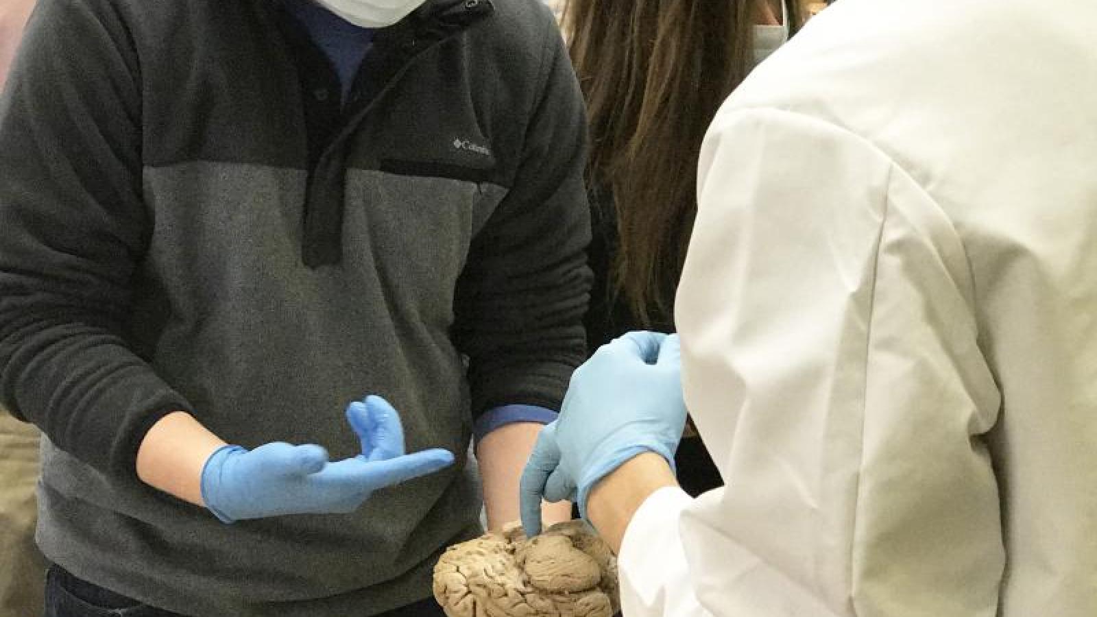 Neuroscience Students Showing Brains
